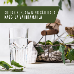 Kuidas korjata ja säilitada kase- ja vahtramahla