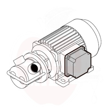 Siurblys Liverani EP MAXI 80 gnybtinė jungtis 43800l/h +95C, 3F/400V