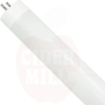 2460-bulb-6.jpg.webp 2460-bulb-6.jpg.webp
