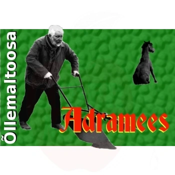 2793-esisilt-adramees5.png.webp 2793-esisilt-adramees5.png.webp