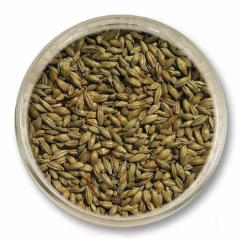 2910-ohramallas-viking-malt-munich-light.jpg.webp 2910-ohramallas-viking-malt-munich-light.jpg.webp
