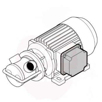 6237-6237-68076ba276d765-84946849-liverani-pump-with-terminal-board-connection.png.webp