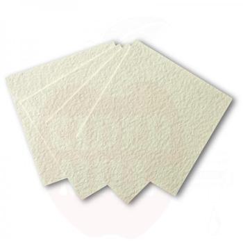 Cartong filter 40X40 cf.25 CKP V 0 25pc/set