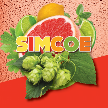 Hop pellets Simcoe 100 g