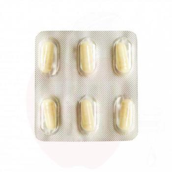 Brewferm Servomyces yeast nutrient - 1 cap