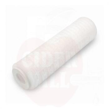 5626-5626_673ee58a452a20.95845545_cartridge-for-housing-filter-0-45-µm-10-d_10609_large.jpg