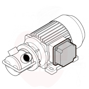 6237-6237_68076ba276d765.84946849_liverani-pump-with-terminal-board-connection_large.png