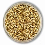 Viking Oat/Oats in Beer City, EBC 3.5-7