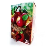 Säilytyspussin pahvilaatikko 3L, värillinen