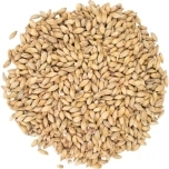 Belgomalt Pilsen 2.5 - 4.5 EBC