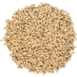 Viking Pale Ale Malt - 4-7 EBC - 25 kg
