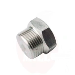 Endkappe 1" Außengewinde, rostfrei