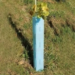 Kasvien varsisuoja Ecowit 500x50x50mm (1000kpl), taimet/kasvit