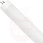 Fluorescent lamp for insect killer