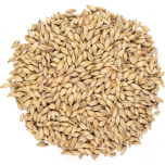 Viking Pale Ale Malt - 4-7 EBC - 25 kg