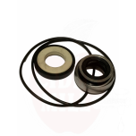 Mechanical Seal for EURO 30 pump + oring x