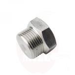 plug threaded 1 SS