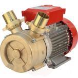 BE-M 50 electric transfer pump