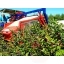 13500-aronia-harvester-aronic-18.jpg.webp