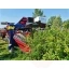 4966-9-oskar-a01-berry-harvester.jpg.webp