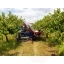 4968-10-tree-shaker-harvester-gacek.jpg.webp