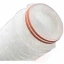 5631-cartridge-membrane-for-housing-filter-0-45-m-30-7-8128-zoom-3.jpg.webp