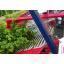 1068-1068_6384830087a156.14648453_11-berry-harvester-jarek-5-_large.jpg