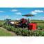 1068-1068_63848309a9d172.75629948_12-berry-harvester-jarek-5-_large.jpg