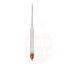 Beer hydrometer BREWFERM 0-10 Plato + thermometer