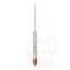 Hydrometer BrewFerm 0-10 Plato + Thermometer