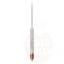 Beer hydrometer BREWFERM 20-30 Plato + thermometer