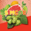 Apynių grūdai Simcoe 100g, α12-14/β4-5