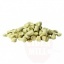 Ant apynių grūdų Hallertau Blanc 100g, α9-12/β4-6