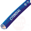 5045-5045_6406e3313a3b73.91312207_citedrial_large.png