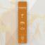 5559-5559_6718e9ed071dc0.87707060_brewferm-beer-kit-belgian-saison-1-_large.jpg