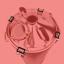 6128-6128_67e69736210332.21247556_brewzilla-digiboil-s-s-adjustable-lid-clamps-short-4pcsset-kegland-1-ezgif.com-webp-to-jpg-converter_large.jpg