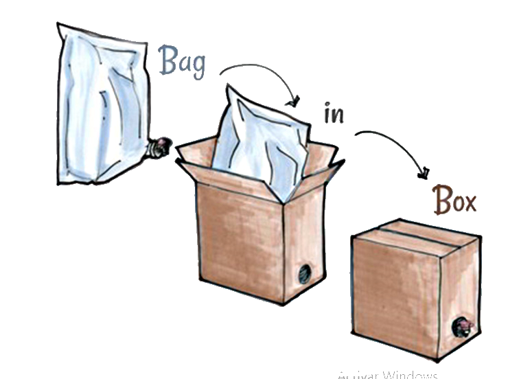 Fill in box bag carton